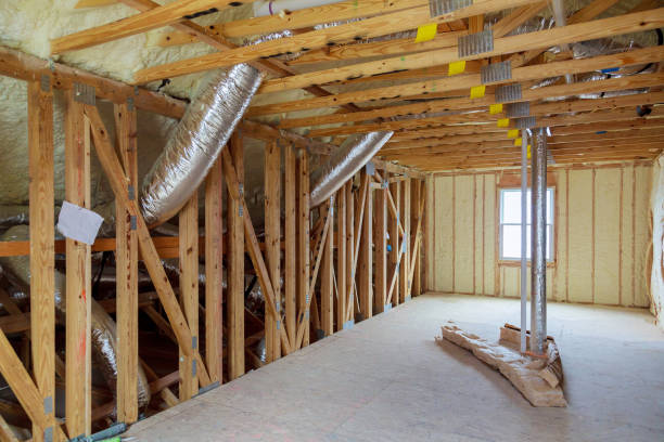 Best Insulation Replacement Services  in Hampton, TN