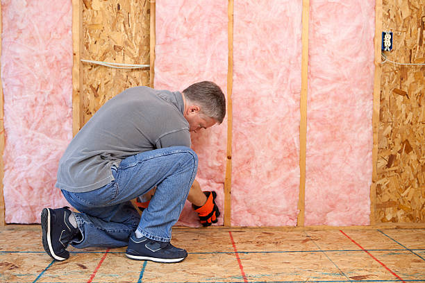 Best Insulation Replacement Services  in Hampton, TN
